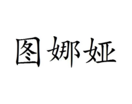 图娜娅商标原图 第25类服装鞋帽
