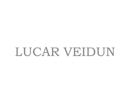 LUCAR VEIDUN商标原图 第25类服装鞋帽