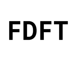 FDFT商标原图 第25类服装鞋帽