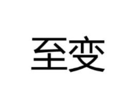 至变商标原图 第25类服装鞋帽