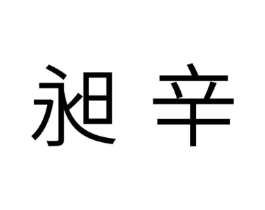 昶辛商标原图 第25类服装鞋帽