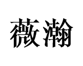 商标原图