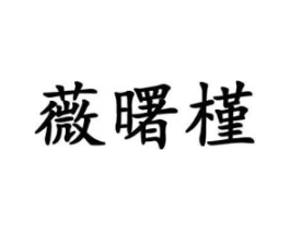 商标原图