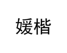媛楷商标原图 第25类服装鞋帽