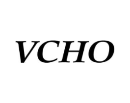 VCHO商标原图 第25类服装鞋帽