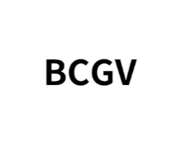 BCGV商标原图 第25类服装鞋帽