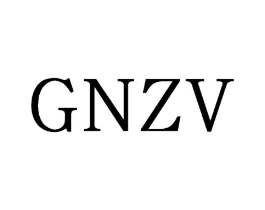 GNZV商标原图 第25类服装鞋帽