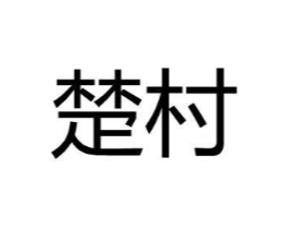 商标原图