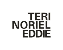 TERI NORIEL EDDIE商标原图 第25类服装鞋帽