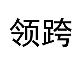 领跨商标原图 第25类服装鞋帽