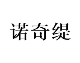 诺奇缇商标原图 第25类服装鞋帽