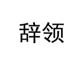 辞领商标原图 第25类服装鞋帽