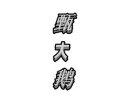 甄大鹅商标原图 第25类服装鞋帽