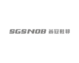 SGSNOB 尚冠鞋邦商标原图 第25类服装鞋帽