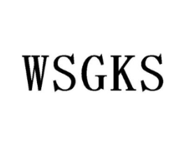 WSGKS商标原图 第25类服装鞋帽