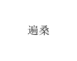 遍桑商标原图 第25类服装鞋帽