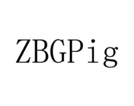 ZBGPIG商标原图 第25类服装鞋帽