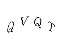 QVQT商标原图 第25类服装鞋帽