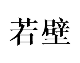 若壁商标原图 第25类服装鞋帽