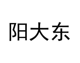 阳大东商标原图 第25类服装鞋帽