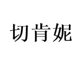 切肯妮商标原图 第25类服装鞋帽