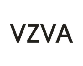 VZVA商标原图 第25类服装鞋帽
