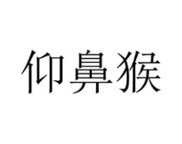 仰鼻猴商标原图 第25类服装鞋帽