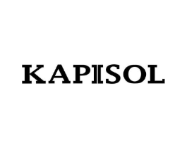 KAPISOL商标原图 第25类服装鞋帽