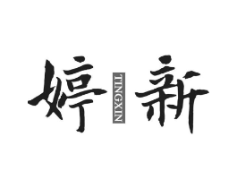 婷新商标原图 第25类服装鞋帽
