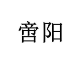啻阳商标原图 第25类服装鞋帽