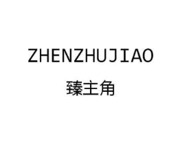 臻主角商标原图 第25类服装鞋帽