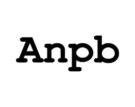 ANPB商标原图 第25类服装鞋帽