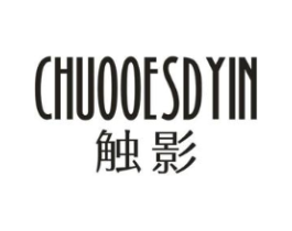 CHUOOESDYIN 触影商标原图 第25类服装鞋帽