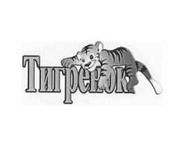 TNRPEHOK商标原图 第25类服装鞋帽