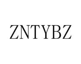 ZNTYBZ商标原图 第25类服装鞋帽