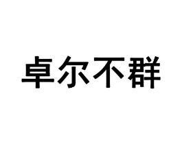 卓尔不群商标原图 第28类体育玩具