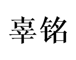 商标原图