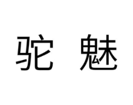 商标原图