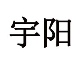宇阳商标原图 第28类体育玩具