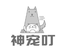 神宠叮