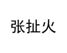 张扯火商标原图 第29类食品
