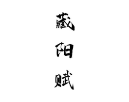 藏阳赋商标原图 第29类食品