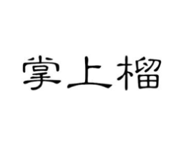 掌上榴商标原图 第29类食品