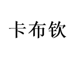 卡布钦商标原图 第29类食品