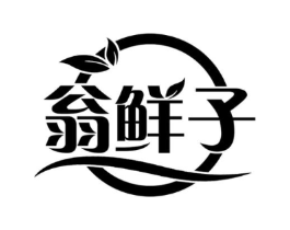 翁鲜子商标原图 第29类食品