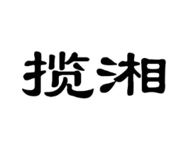 揽湘商标原图 第29类食品