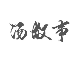 汤故事商标原图 第29类食品