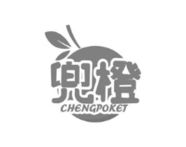 兜橙 CHENGPOKET商标原图 第29类食品