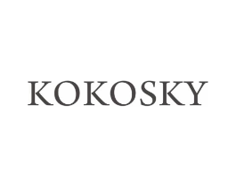 KOKOSKY商标原图 第29类食品