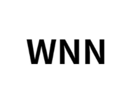 WNN商标原图 第29类食品